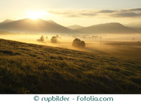 Ferienimmobilien der Mittelgebirge
